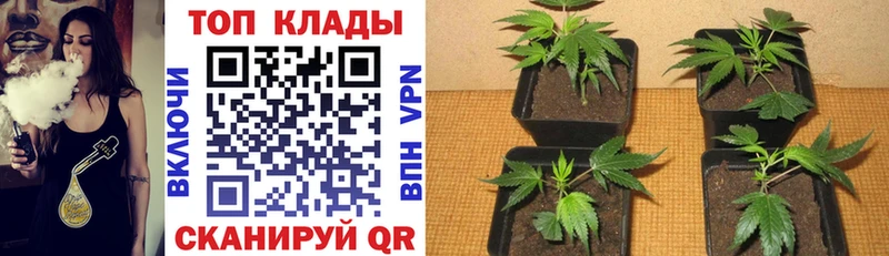 Купить закладку Борисоглебск КОКАИН  A PVP  ГАШ  Каннабис  Меф 