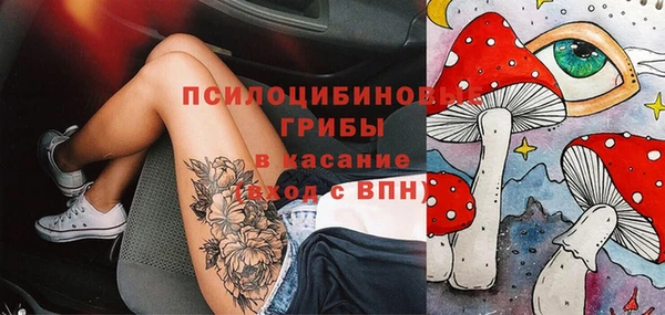 МДМА Снежногорск