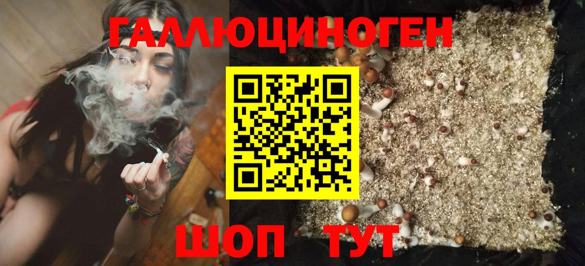 где можно купить   Псилоцибиновые грибы ЛСД  Вход с VPN  Борисоглебск 